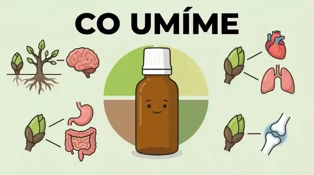 Gemmoterapie Co umíme